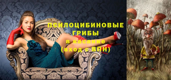 хмурый Майский
