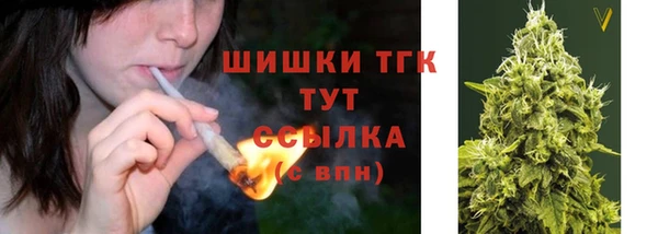 тгк Архангельск
