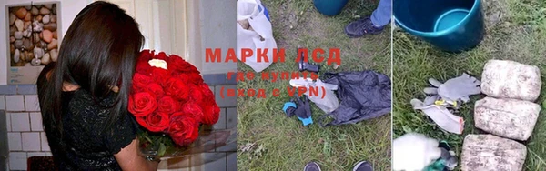 хмурый Майский
