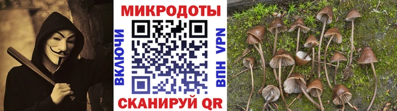 Галлюциногенные грибы прущие грибы  гидра как войти  Грозный 